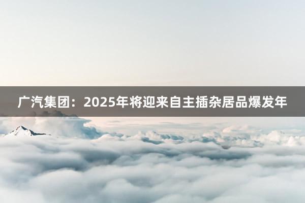 广汽集团：2025年将迎来自主插杂居品爆发年