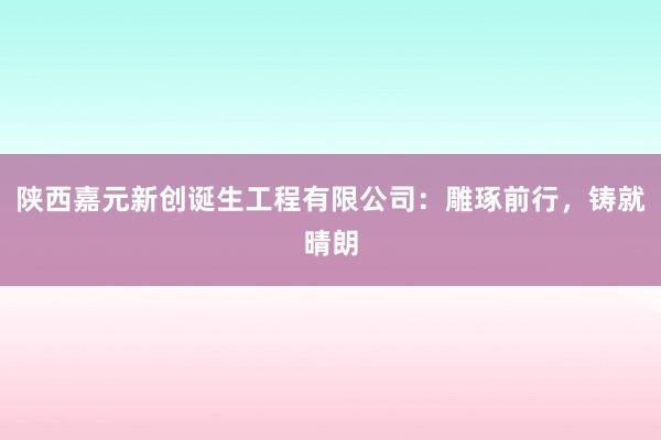 陕西嘉元新创诞生工程有限公司：雕琢前行，铸就晴朗