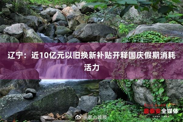 辽宁：近10亿元以旧换新补贴开释国庆假期消耗活力