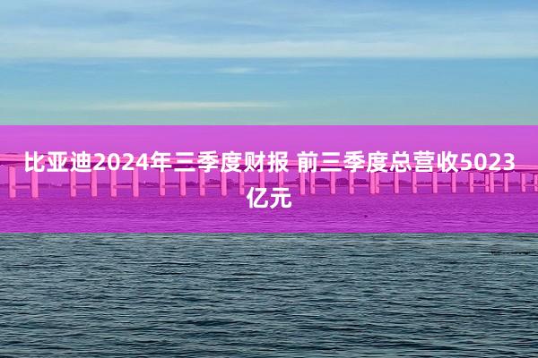 比亚迪2024年三季度财报 前三季度总营收5023亿元