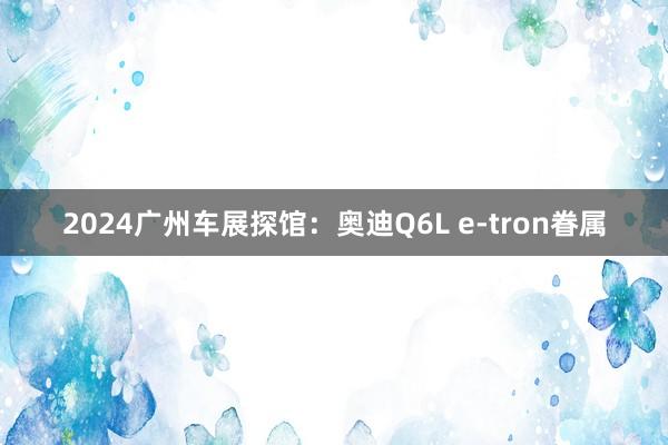 2024广州车展探馆：奥迪Q6L e-tron眷属